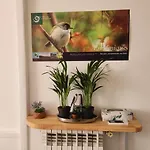 Entier Dans Un Espace De Verdure Daire