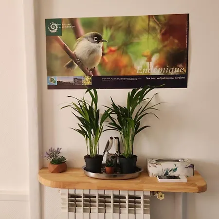 Entier Dans Un Espace De Verdure Apartment