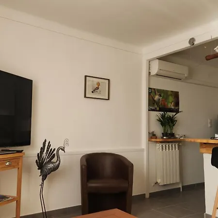 Entier Dans Un Espace De Verdure アパート ペルピニャン